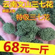 2020年新三七(新三七)花，纯天然云南文山特产四年生特级田七花茶500克