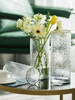 北欧轻奢简约浪花口描金玻璃花瓶透明水养鲜花富贵竹百合花瓶摆件
