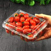 打包盒一次性水果生鲜盒子蔬菜塑料带盖食品透明通用包装盒糕点盒
