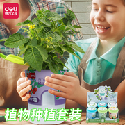 得力幼儿园植物观察实验套装盆栽学生儿童小番茄向日葵幸运草种子