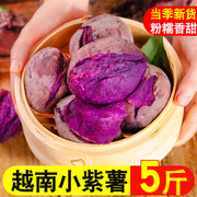 越南小个紫薯品种新鲜农家自种沙地现挖蜜薯糖心甜山芋番薯地瓜5