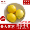 安岳柠檬黄柠檬新鲜柠檬一级中果尤力克皮薄10斤