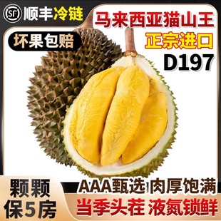 马来西亚进口正宗猫山王榴莲D197液氮冷冻新鲜水果肉带壳