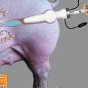 促孕增压器精器l用品输用养殖场耐高温猪畜牧母猪软助头加新
