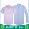 夏季农业银行行服农行男式衬衣紫粉色，长短袖衬衫工作服工装制服