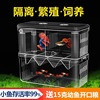 孔雀鱼繁殖盒鱼缸隔离孵化盒热带鱼，小鱼特大小号隔离箱孵化产卵房