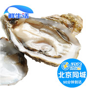 3-4两/只北京闪送鲜活大个生蚝牡蛎肉海蛎子海鲜水产贝类烧烤