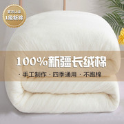 新疆棉花被春秋被子纯棉花被褥冬天棉絮垫被棉被冬被加厚保暖被芯