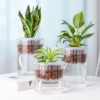 水培植物玻璃花瓶家用自吸水花盆透明直筒，客厅水养绿萝专用器皿