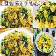 23头茬香椿咸菜新鲜腌制真空酱菜香椿菜香椿头下饭菜500g/1袋