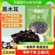 古松东北黑木耳凉拌木耳菌菇类无根肉厚秋耳云耳干货