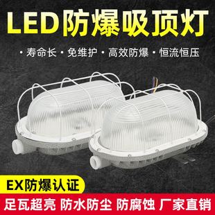 LED防爆吸顶灯椭圆防潮灯IP65防水防尘仓库配电室壁灯