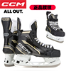 CCM TACKS AS570冰球鞋冰鞋 成人冰球训练比赛中高级款冰鞋
