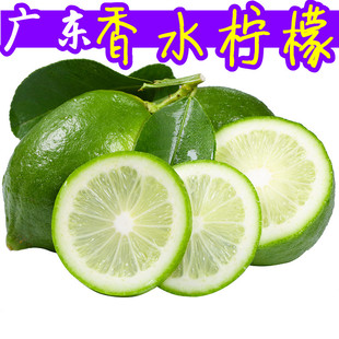 广东香水柠檬新鲜一级果无籽四季青奶茶店专用水果商用皮薄