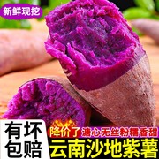 云南沙地紫罗兰糖心紫薯10斤新鲜红薯农家自种一点红蜜薯软糯超甜