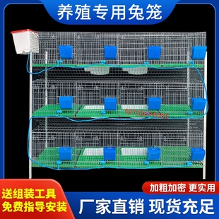 新型兔笼养殖笼加粗加密热镀锌兔笼子特大号兔笼兔笼弹簧门母兔笼