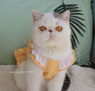 蛋黄的长裙~夏季猫咪吊带连衣，裙子可爱公主裙宠物狗英短衣服薄款