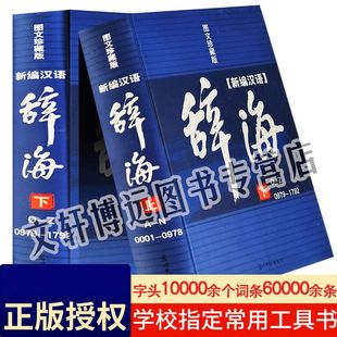 精装正版辞海新编汉语辞海全套2册图文珍藏版学生古汉语现代成语词典大字典套装工具书初中高中全功能通用解字字源畅销工具书