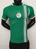 阿尔及利亚绿色短袖球衣2223足球服修身男定制印号字运动队服