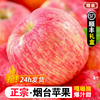 山东烟台红富士苹果水果，10斤装当季整箱礼盒，新鲜栖霞冰糖心苹果