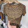 豹纹印花螺纹短袖T恤女2023夏季ins潮时尚洋气设计感小衫上衣