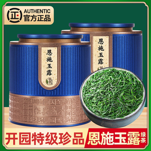 恩施玉露绿茶2025新茶叶开园特级湖北早春龙井43号茶新茶叶250g
