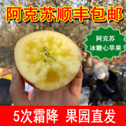 新疆阿克苏冰糖心苹果新鲜现摘光果水果脆苹果产地果园直发