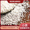 泰国乌汶府猫牙米长粒香原粮进口茉莉香米，50斤进口大米23年新米