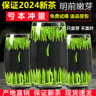 雀舌2024年特级500g绿茶茶叶，竹叶茶青新茶，四川正宗峨眉山明前散装