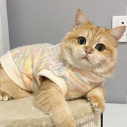 公主风猫咪专用小衣服冬季保暖美短虎斑橘猫金渐层幼猫毛衣针织衫