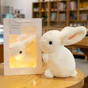 可爱仿真兔子礼盒装毛绒玩具，公仔情侣一对布娃娃小白兔子中秋礼物