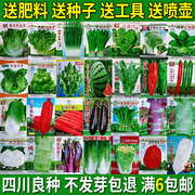 蔬菜种子四季播种阳台农家，庭院盆栽生菜菠菜，韭菜香菜草莓籽孑