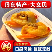 东港特产大文贝干丹东即食黄蚬子(黄蚬子)海鲜零食海产品原产地