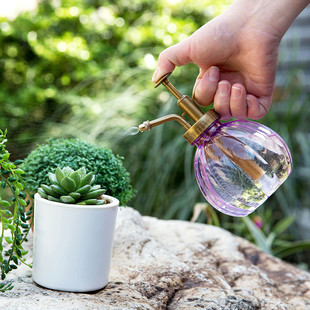 复古欧式南瓜仿玻璃小型喷水壶园艺浇水浇花气压式喷头喷雾壶