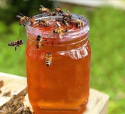 蜂蜜秦岭土蜂蜜纯正天热野生农家自产深山，百花蜜木桶蜜自产无添加