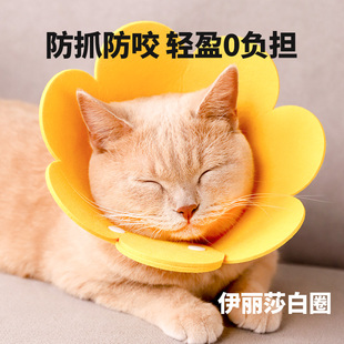 伊丽莎白圈猫咪绝育项圈，伊利沙白圈防舔颈圈头套狗狗脖圈宠物用品