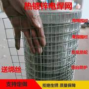 镀锌铁丝网格网5厘米网孔钢丝网果园养鸡围栏网养殖户外防护网栏