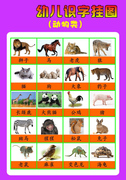 585薄膜海报印制展板喷绘写真642幼儿识字挂图动物类