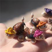 火爆海螺天然带帽子创意小乌龟贝壳工艺品乌龟满额