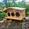室外实木制鸽子窝超大鸽巢箱鹦鹉繁殖孵化箱配对木屋可定制