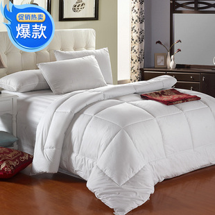 酒店纯白色被芯宾馆春秋冬季冬被子旅店加厚实棉被四季通用