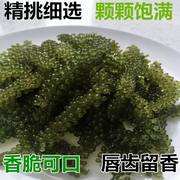新鲜海葡萄即食长寿菜海藻菜寿司绿色鱼子酱100g。MECS