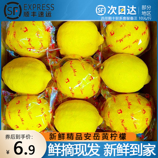 安岳新鲜黄(新鲜黄)柠檬9斤奶茶店专用一二级薄皮，商用四川青柠檬薄皮水果