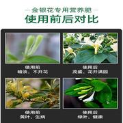 金银花专用肥金银花肥料，营养液开花复合肥忍冬，花肥盆栽盆景缓释肥