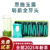 湖北恩施玉露绿茶2025年新茶叶硒茶特级早春茶毛尖240g小袋泡茶
