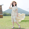 韩版童装女童雪纺裙子夏装，2024中大童，洋气儿童夏季女孩连衣裙