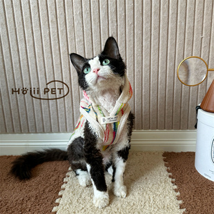 HOiii PET 彩虹毛呢斗篷大衣德文猫衣服背心马甲无毛猫衣服甜酷冬