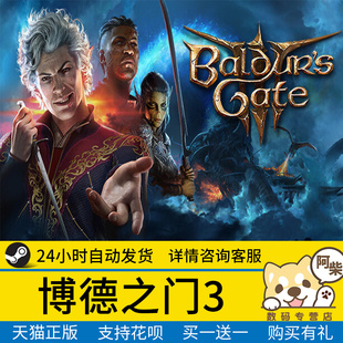 Steam正版游戏PC中文 博德之门3 steam 国区礼物激活 Baldur's Gate 3 成品号