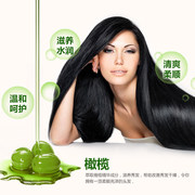 4pcolivehairconditionershampoo橄榄，洗发水发膜精油4件套