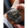 瑞士手表男士机械表，夜光防水时尚奢华黑武士全自动超薄腕表